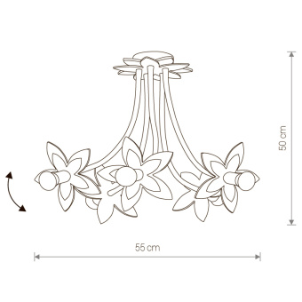 Потолочная люстра Nowodvorski Flowers 6896