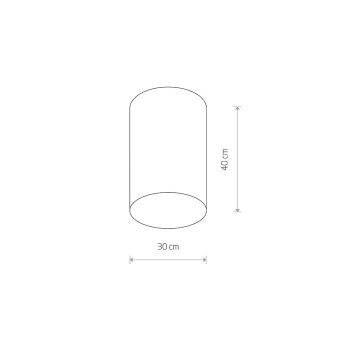 Потолочный cветильник Nowodvorski Cameron 9685